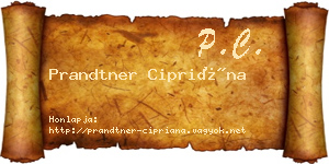 Prandtner Cipriána névjegykártya